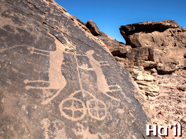 Complete Saudi Arabia