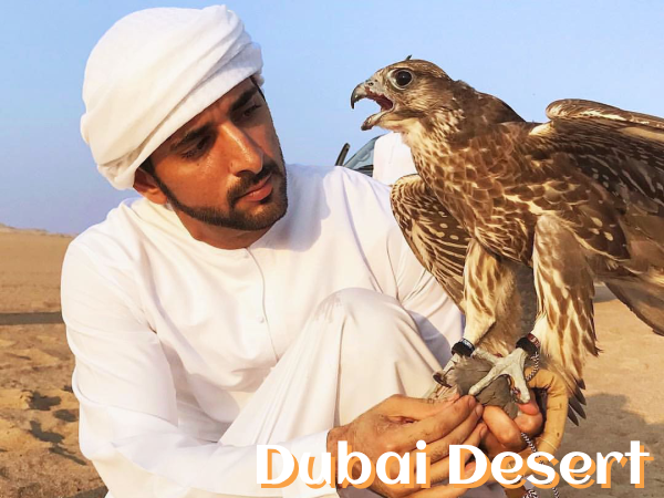 Dubai Adventure