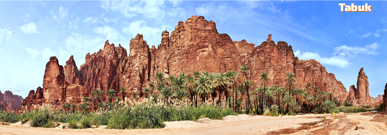 History of a Civilization - Umrah Extension