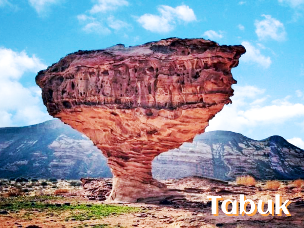 History of a Civilization - Umrah Extension